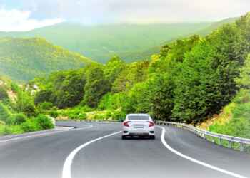 Plakadan araç sahibi sorgulama